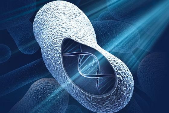 Ultraviolet Light for Disinfection