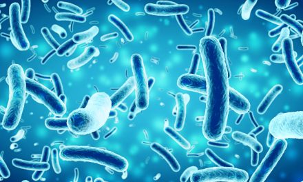 A Pandemic Must-Have: UVC Wand